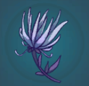Stormwind Petal